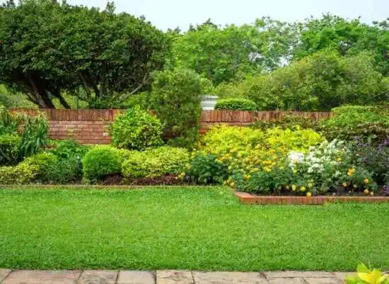 landscaping services Bayboro